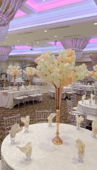 Mixture Cherry Blossoms for Events